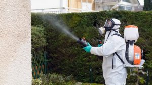 Importance of Hiring Professional Pest Control Services